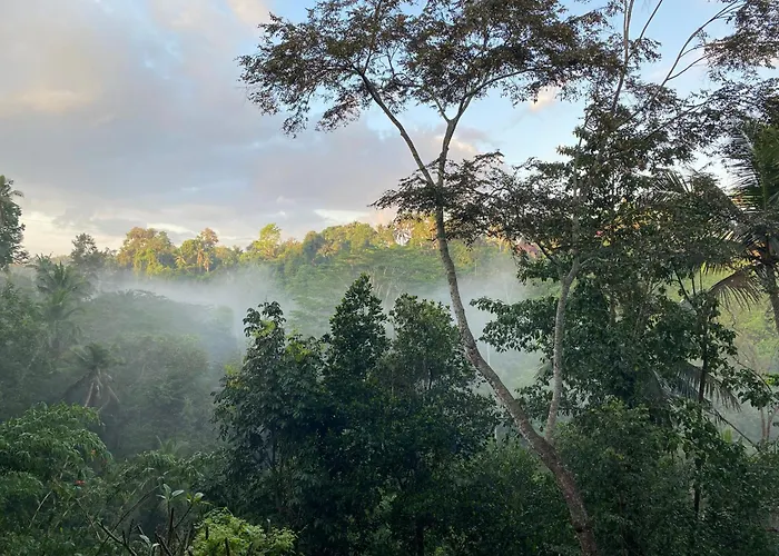 D\'Tepi Ubud House